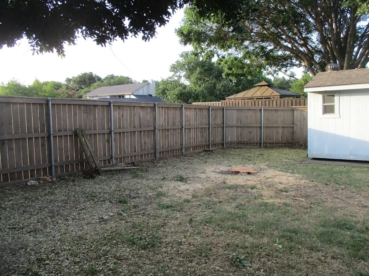 Cleared yard after professional tree removal in Livonia