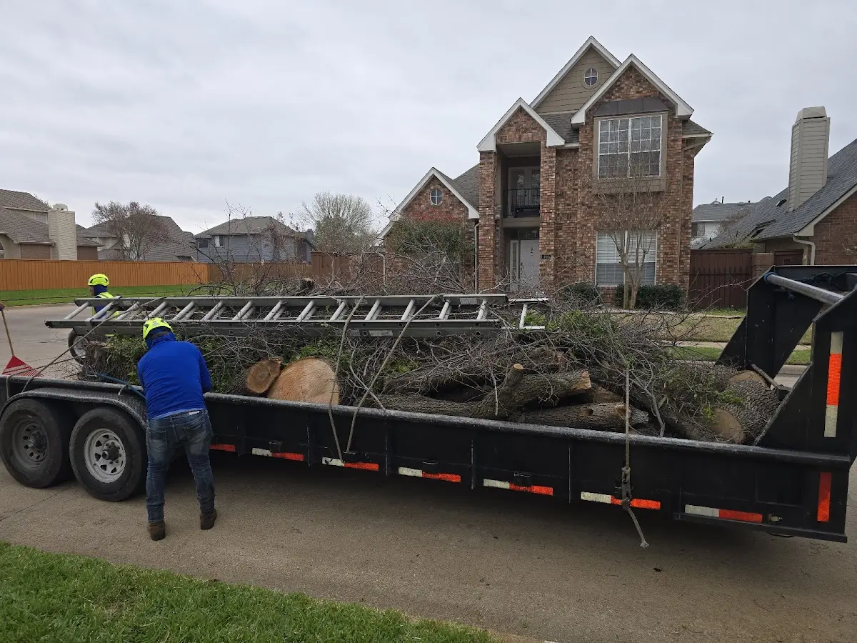 Expert Tree Removal with proper safety equipment in Livonia